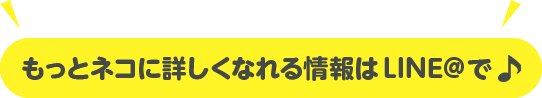 バター猫のパラドックスとは ありえない でも納得しちゃう Catchu きゃっちゅ