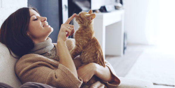 やわらかいうんちは不調のサイン？猫が軟便になる原因とは  Catchu 