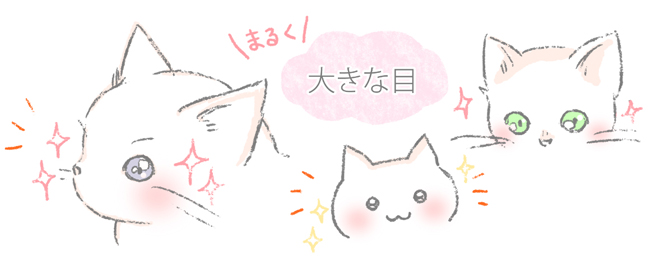 猫がかわいい理由のひとつ、目のイラスト