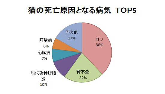 猫の死亡原因となる病気3