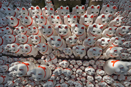 豪徳寺たくさんの招き猫写真3