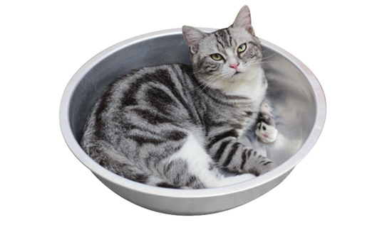 LUFFひんやりクール猫鍋商品イメージ