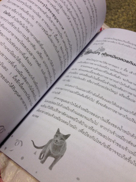 空港に売っていた猫の本の写真2