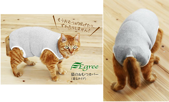 猫用オムツを使うタイミング おすすめオムツカバー3タイプもご紹介 Catchu きゃっちゅ