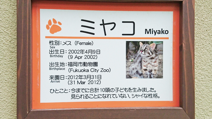 動物園のミヤコの説明看板の写真