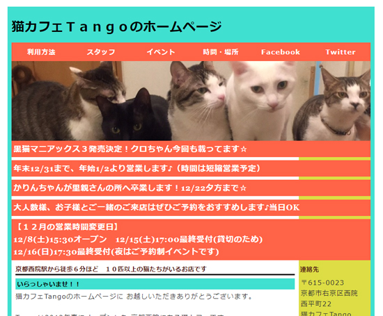 京都府で保護猫を引き取れる施設 それぞれの譲渡の条件や流れ Catchu きゃっちゅ