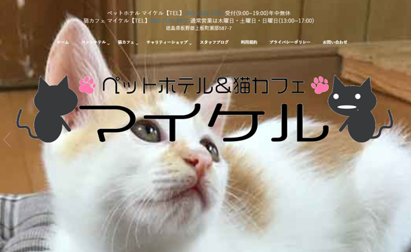 徳島県で保護猫に会える施設 譲渡会の情報や引き取り条件など Catchu きゃっちゅ