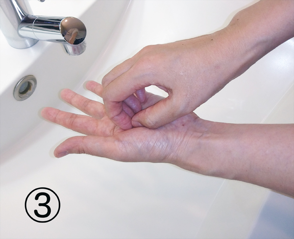 手の洗い方の順序3