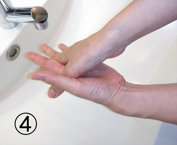 手の洗い方の順序4