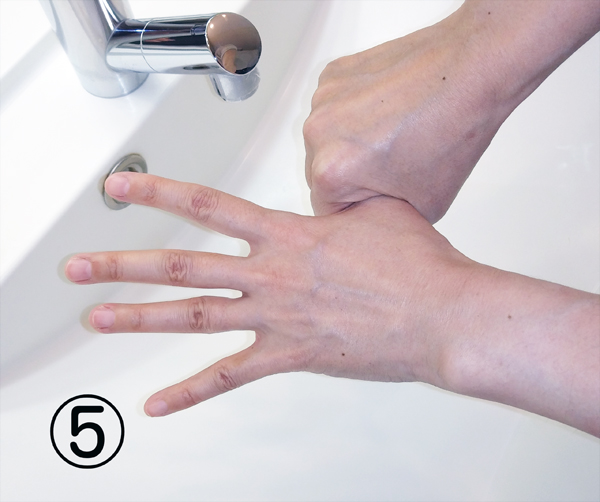 手の洗い方の順序5